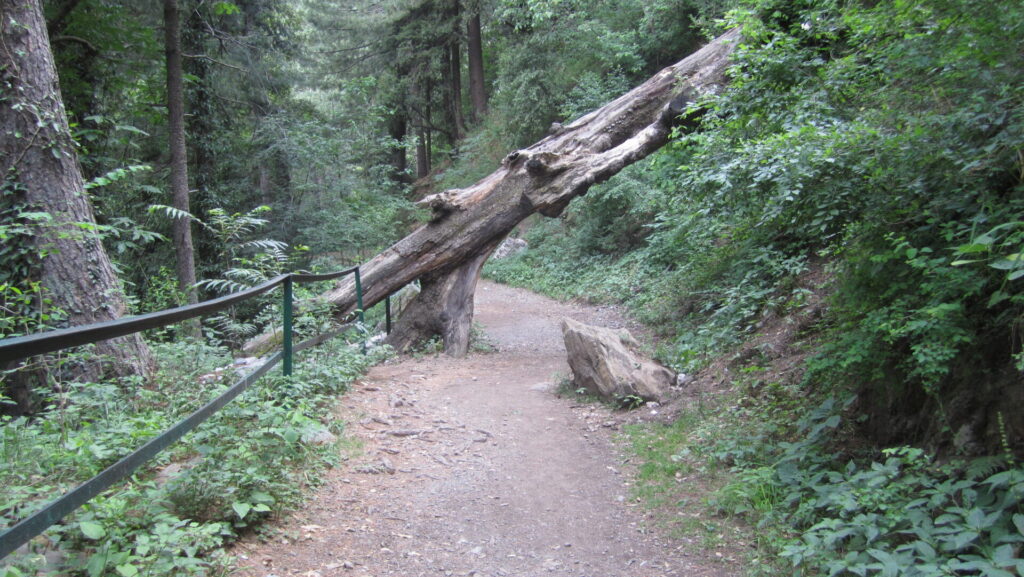 Pipeline Track Ayubia (1)
