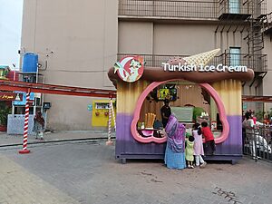 Joyland Fortress Lahore