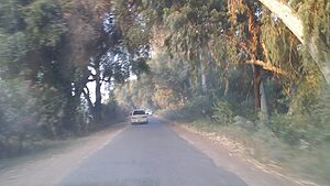 Lal Suhanra National Park