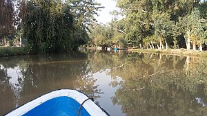 Lal Suhanra National Park