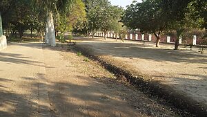Lal Suhanra National Park