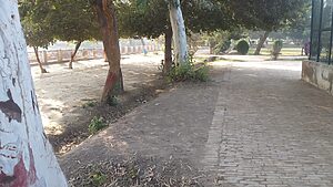 Lal Suhanra National Park